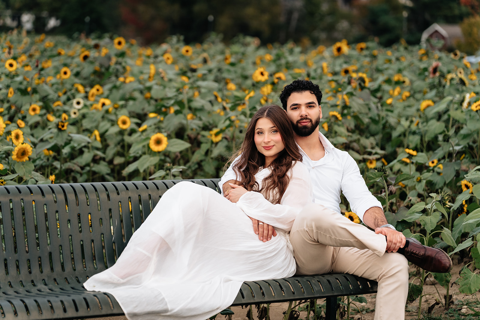 Suemaya reclining beside Assad on a bench surrounded by sunflowers at Rogish Farm