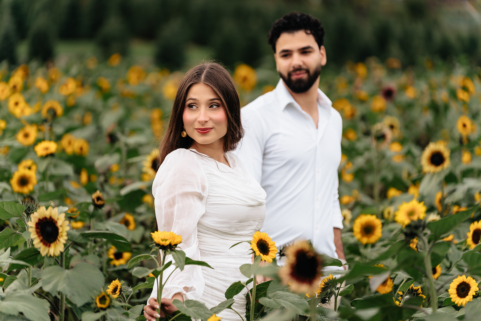 Suemaya and Assad framed by a broad row of sunflowers in the Chesterland field