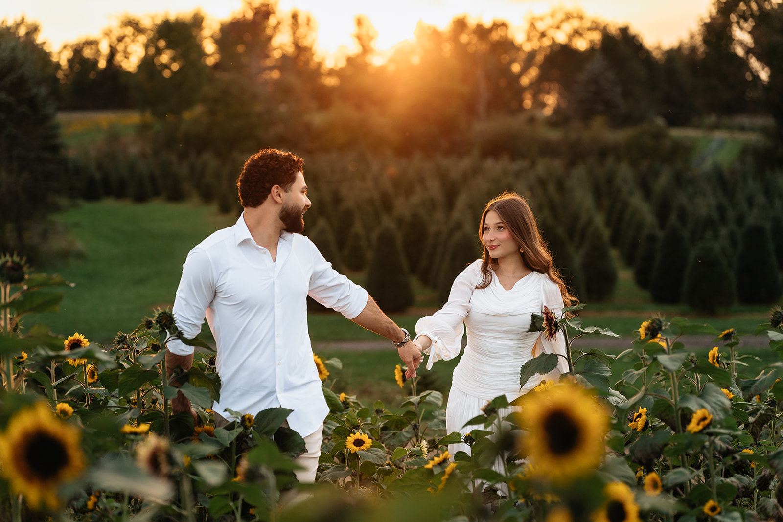 Suemaya and Assad walking hand in hand through the sunflower field in the last warm light