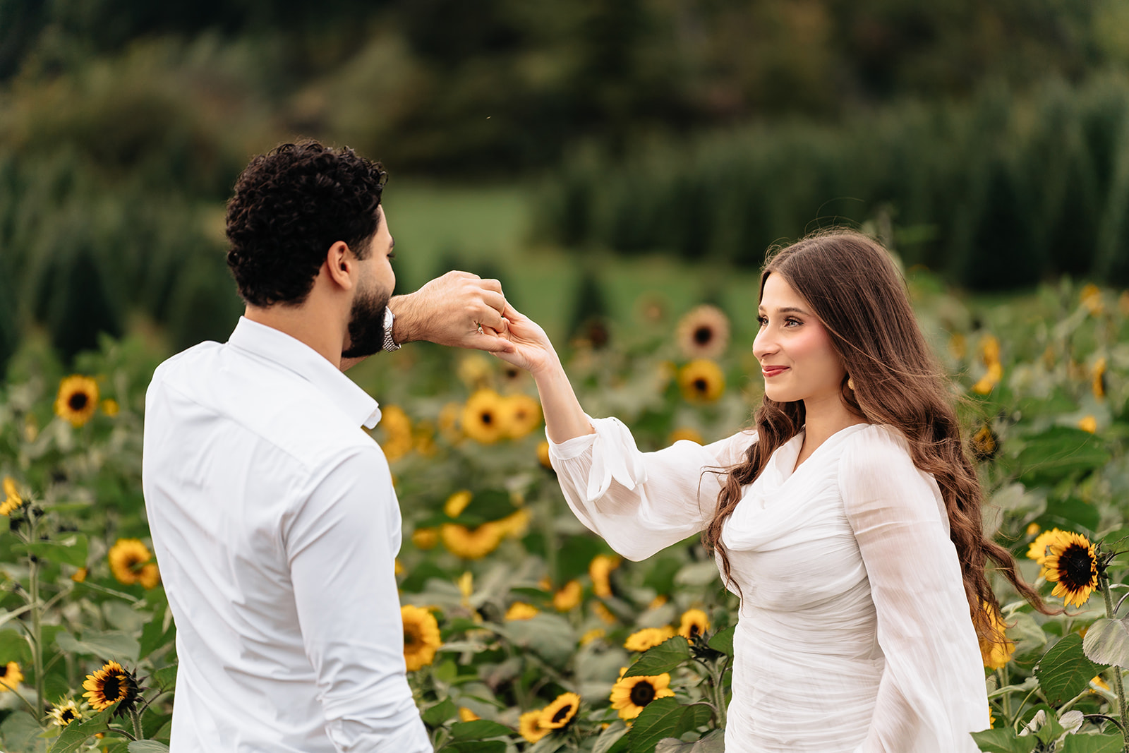 Assad twirling Suemaya by the hand between rows of sunflowers at Rogish Farm