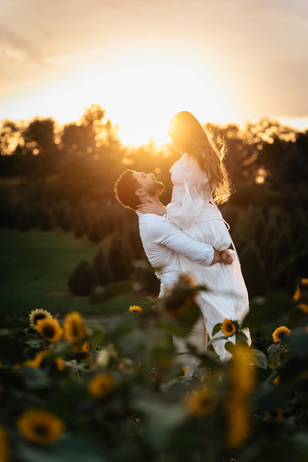 Assad lifting Suemaya among the sunflowers at Rogish Farm as the October sun glows behind them